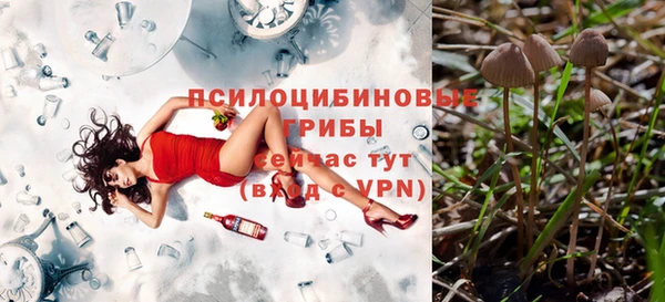 mdpv Алексин