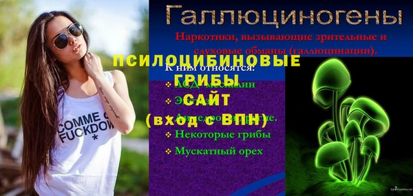хмурый Алзамай