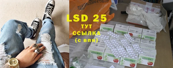хмурый Алзамай