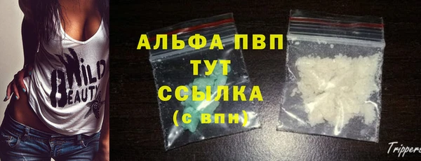 хмурый Алзамай
