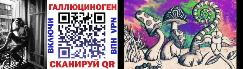 OMG как зайти  Тобольск  Галлюциногенные грибы Psilocybine cubensis 
